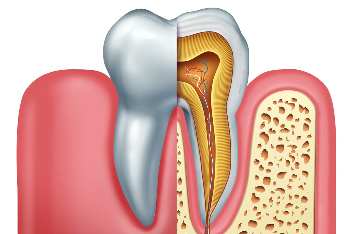 Endodontist